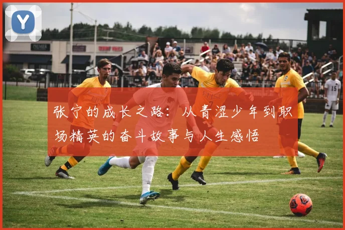张宁的成长之路：从青涩少年到职场精英的奋斗故事与人生感悟