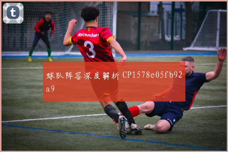 球队阵容深度解析 CP1578e05fb92a9