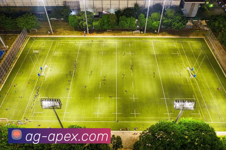 多媒体互动体验